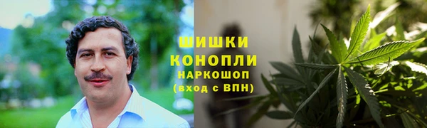 МДПВ Нефтегорск
