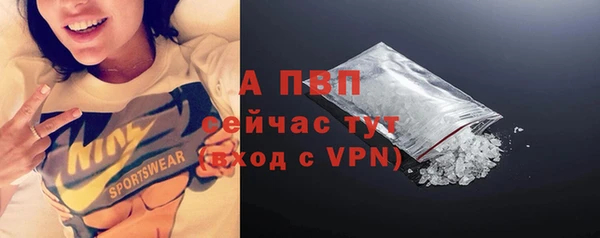спиды Нефтекумск