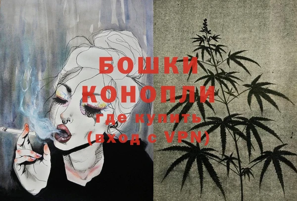 гашик Нея