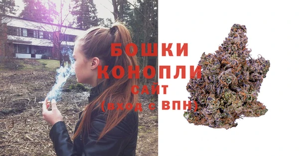 бошки Алексин