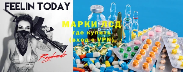 шишки Алзамай