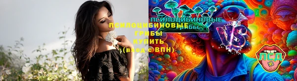 каннабис Алексеевка