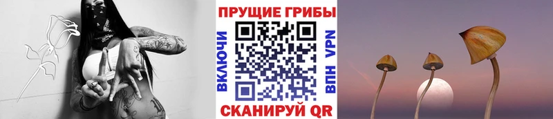 Псилоцибиновые грибы GOLDEN TEACHER Алупка